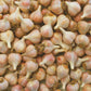 Blake Hill Preserves - NEW 5oz Roasted Garlic Balsamic & Rosemary (5.4oz)